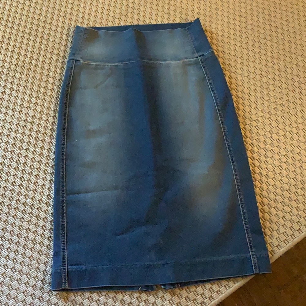 Level 99 Denim Fitted Skirt